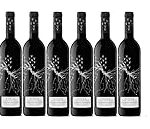 Explorando la Tinta del País: Un Análisis de Cocktails Únicos y sus Ingredientes Evaluados