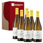 Descubriendo los Mejores Vinos Godello: La Esencia Perfecta para tus Cocktails