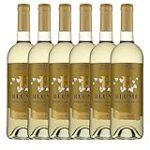 Descubre el Blume Verdejo Selección 2022: El Maridaje Perfecto para Cocktails Refrescantes