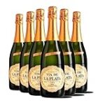 Brut vs Semiseco: Analizando los Mejores Cocktails y sus Ingredientes para Cada Ocasión