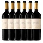 Explorando el Vino Tinto: Comparativa de los Mejores Cocktails que Transmiten Su Esencia