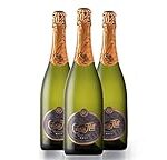 Descubre los Mejores Cocktails con Cava Hill Brut Nature: Análisis y Comparación de Ingredientes para un Brindis Perfecto
