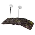 Descubre la Tortuga Venta: Análisis de sus Ingredientes y Comparación con los Mejores Cocktails Tropicales