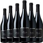 Explorando la Elegancia: Análisis de los Mejores Cócteles con Vinos Pinot Noir de España