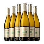 Descubre el Sabor del Enrique Mendoza Chardonnay: La Base Perfecta para los Mejores Cócteles