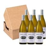 Descubriendo Le Botani: Análisis y Comparativa de los Mejores Cócteles que Enriquecen su Sabor