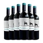 Explorando los Mejores Cócteles: Inspiración de Bodegas y Viñedos Valderiz