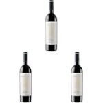 Descubre los Mejores Cocktails con Viñas del Vero Gran Vos: Análisis y Comparativa de Ingredientes para una Experiencia Inigualable