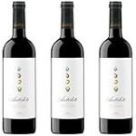 Vino Antídoto: Opiniones sobre la Innovación en Cocktails y sus Ingredientes