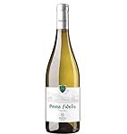 Descubre el Pinna Fidelis Roble 2020: Análisis de su Precio y Cómo Integrarlo en los Mejores Cócteles