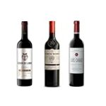Descubriendo el Sabor de la Cueva de Lobos Crianza: Un Cocktail que Sorprende