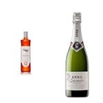 Petroni Spritz: Comparativa del Refrescante Cóctel y sus Ingredientes Clave