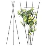 Descubriendo el Sabor: Análisis de Cocktails Inspirados en Viñedos Verticales y sus Ingredientes Únicos