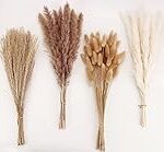 Descubriendo las Flores de Cana: Análisis y Comparación de los Mejores Cócteles que las Incorporan