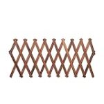 Descubre el Espaldero Vid: El Ingrediente Secreto que Transformará tus Cócteles